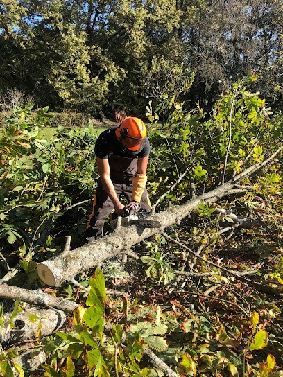 Top jardin - Paysagiste Mésanger, Paysagiste à Mésanger