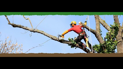 FEITO CANO, Paysagiste à Lauris