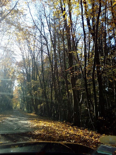 M.I.L Paysages, Paysagiste à Courtonne-les-Deux-Églises