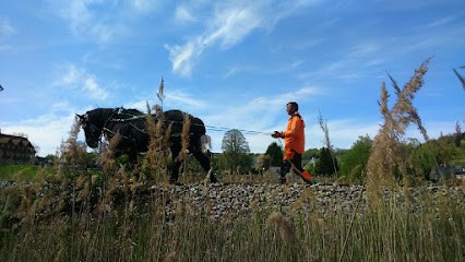 Cégalia Paysages, Paysagiste aux Monts d'Aunay
