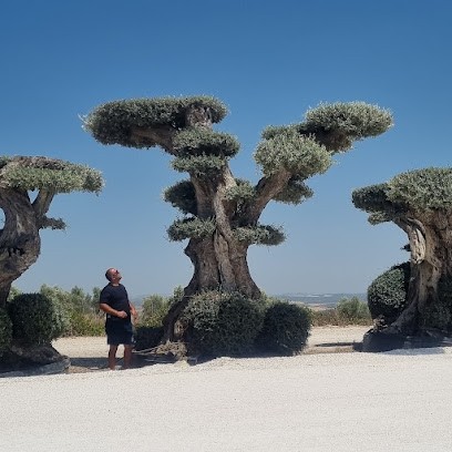 Ambiance paysagère, Paysagiste à Trept