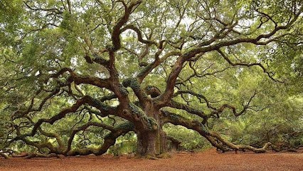 Olivier Espaces Verts et Services, Paysagiste à Sainte-Florine