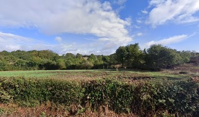 Mercier Bocapaysage, Paysagiste à Mortagne-sur-Sèvre