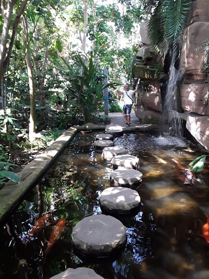 Fleury Jardin, Paysagiste à Fayence