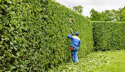 Billotet gs Espaces Verts, Paysagiste à Gleizé