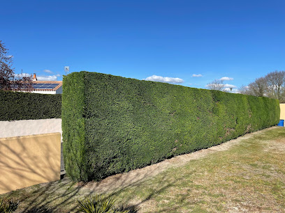 Vendée Espace Verts Paysagiste à Sallertaine