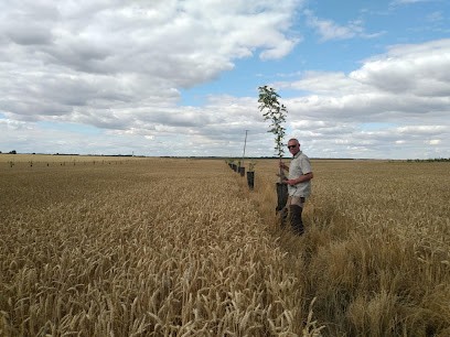 Sylvaloir Forêt Et Paysage, Paysagiste à Marçon