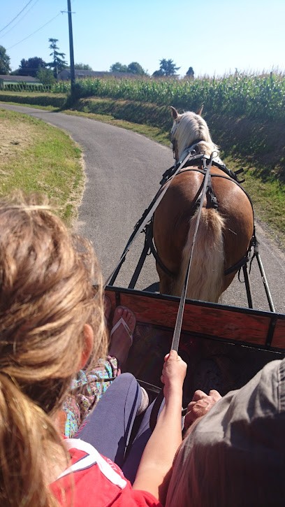 Boisson Philippe, Paysagiste à Meursac