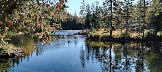 Cap Saison Paysage, Paysagiste à Montmorency