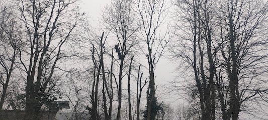 Ets jardin entretien espace vert, Paysagiste à Sarceaux