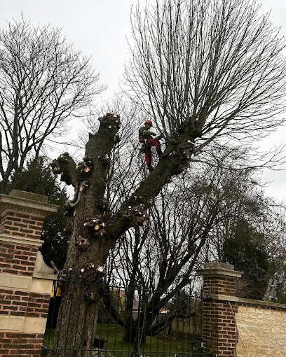 Jardin Cousu Main, Paysagiste à Torvilliers