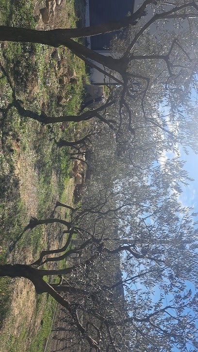 Momparler Dylan, Paysagiste à Valréas