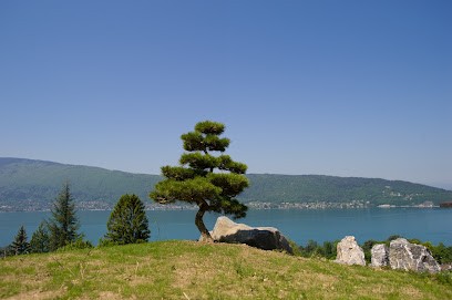 Art'borescence, Paysagiste à Saint-Jorioz