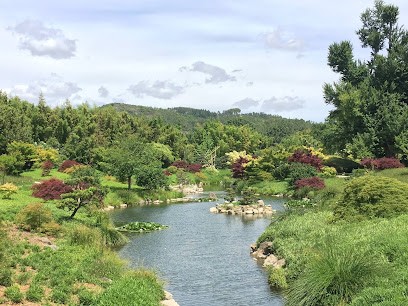 Ma Jardinière Bien-Aimée, Paysagiste à Solliès-Pont
