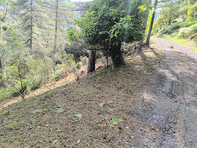 Cévennes Entretiens, Paysagiste à Aujac