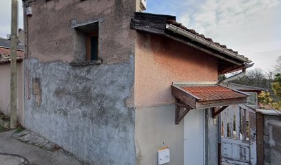 Azur Paysages, Paysagiste à Neyron