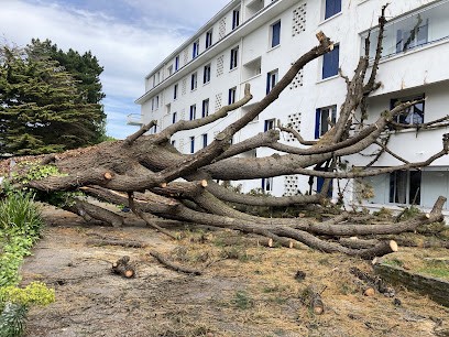 ENTREPRISE TRIMAUD, Paysagiste à Saint-Nazaire
