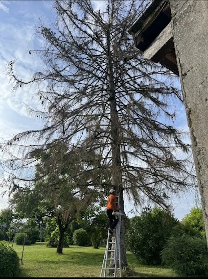 Élagage et abattage, taille de haie, Paysagiste au Passage