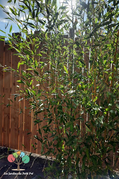 Les Jardins Du Petit Pré, Paysagiste à Trélazé