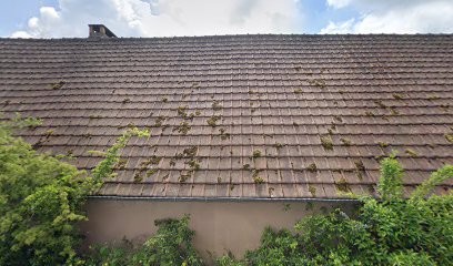 Ent: Cuillerdier Parcs et Jardins, Paysagiste à Muzy