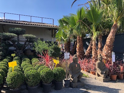 Jardi Creation, Paysagiste à Pins-Justaret