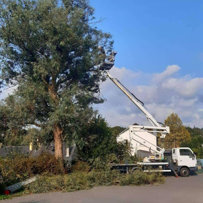 Cotes D'armor Espace Vert Paysagiste à Lannion