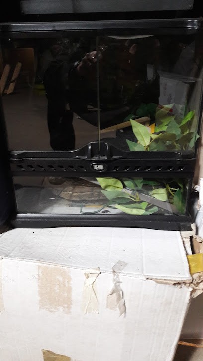 Bire Laurent, Paysagiste à Outarville