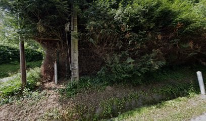 Reine Pierre, Paysagiste à Saint-Pierre-le-Viger