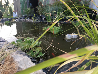 Bocage Et Paysages Paysagiste à la Jaudonnière