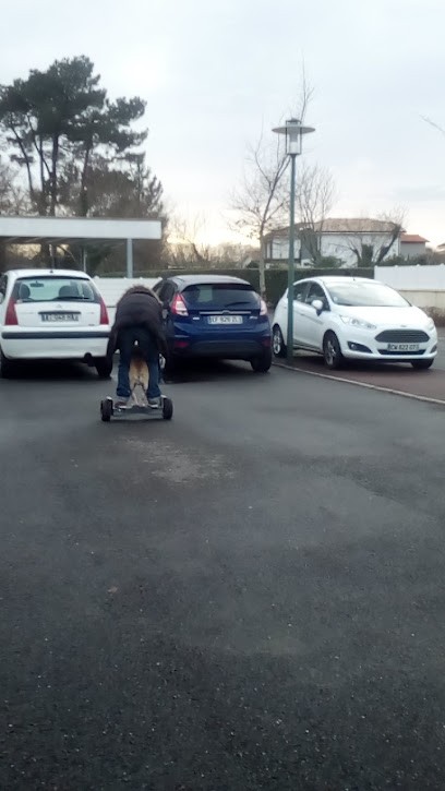 Brun Patrick Jean, Paysagiste à Angresse