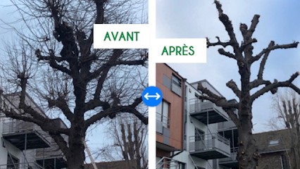 Jardinier Élagueur Philippe Père Et Fils, Paysagiste à Drancy