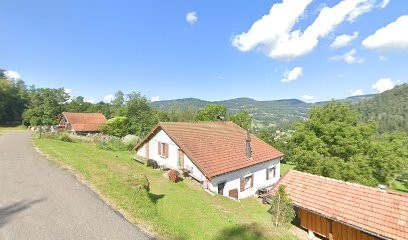 TONY SANCHEZ, Paysagiste à Cornimont