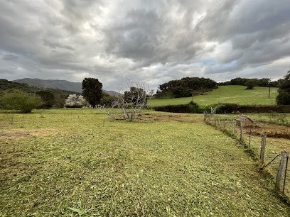 Centamore Espaces Verts, Paysagiste à Cuttoli-Corticchiato