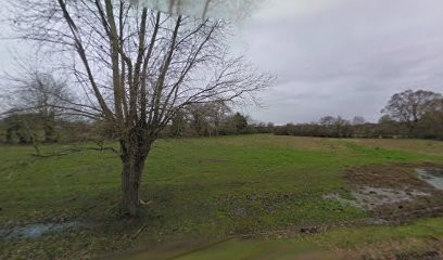 Bréchu Michel, Paysagiste à Saint-Georges-sur-Loire