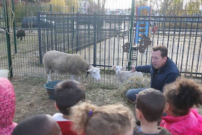 TontetCo - ecopaturage mouton, Paysagiste à Conches-sur-Gondoire
