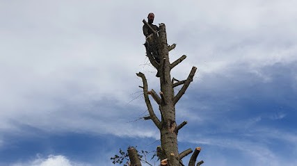 Artisan paysagiste, Paysagiste à Saint-Lubin-des-Joncherets
