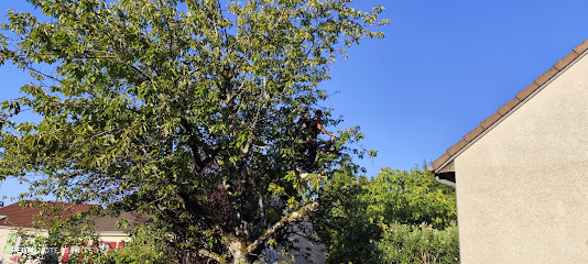Apt Élagueur Terrassier - La Charité-Sur-Loire - Élagage Abattage D'arbres - Paysagiste Nièvre 58 - Vermeech Mason Paysagiste à la Charité-sur-Loire