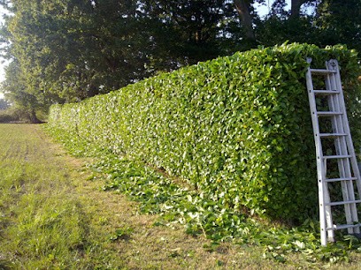 ESPACE VERT SERVICE, Paysagiste à La Fère