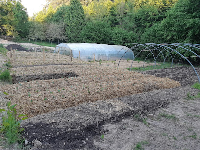 Les Jardins De Demain Paysagiste à Touffreville-la-Corbeline