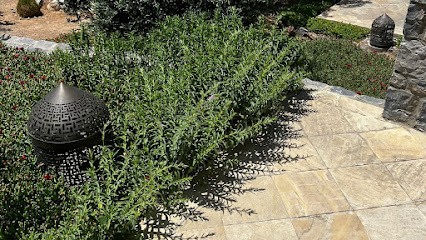 DS&SM Dessiaume Paysagiste, Paysagiste à Thourotte