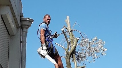 Bts Paysagiste Création De Jardin, Paysagiste à Marignane