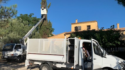 Allô Élagueur De L’Hérault, Paysagiste à Cournonterral