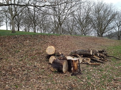 Poncet Emmanuel, Paysagiste à Saint-Pierre-de-Bressieux