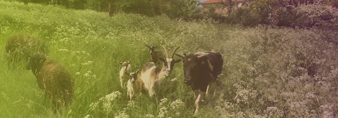 Ecopaturage, Paysagiste à Fontenay-lès-Briis