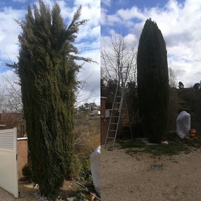 DE VERT EN VERT, Paysagiste à Lozanne