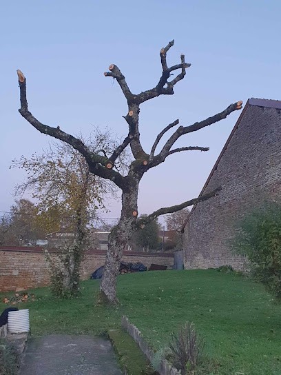 David Multiservices 52, Paysagiste à Maizières