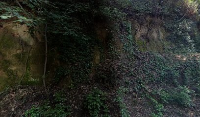 DESTREZ PAYSAGE, Paysagiste à Collias