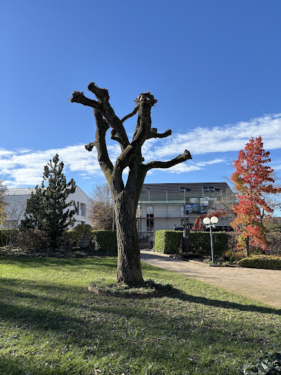 Brian Puggioni Paysagiste à Orléans