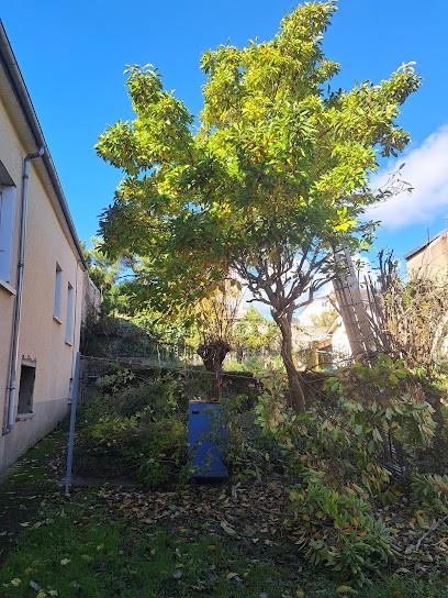 Jardinier Lorbach giovanni, Paysagiste à Mayenne