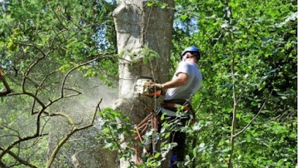 Élagage Hoffmann, Paysagiste aux Pavillons-sous-Bois